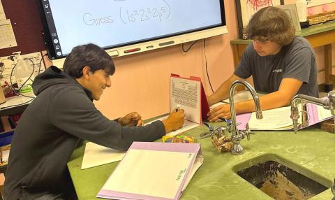 Students in Mrs. Alexander’s chemistry class play a competitive game of Periodic Table Battleship on Wednesday. MEMPHIS ISD