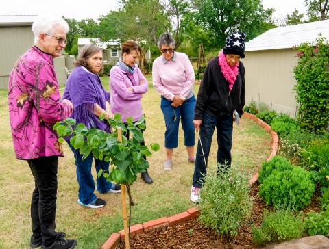 Despite the windy, chilly weather, members of Delta Kappa Gamma met for their monthly program Tuesday, May 19, taking a tour of Edith Johnson’s butterfly garden, certified by the North American Butterfly Association. The garden visit was a follow-up to an earlier program given to the group by Johnson, who is coined the “Butterfly Lady.” GRACE HOLMAN