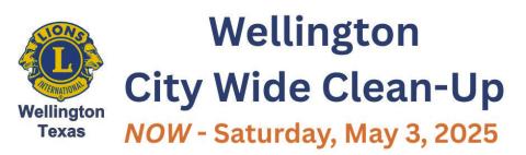 Wellington City Wide Clean-up