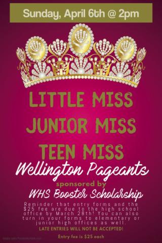 Wellington to crown 2025 Little, Junior and Teen Miss
