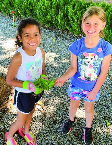 Childress Methodist Children’s Ministry plants bee-friendly flowers