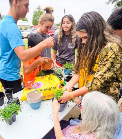 Collingsworth 4-H shares plant project