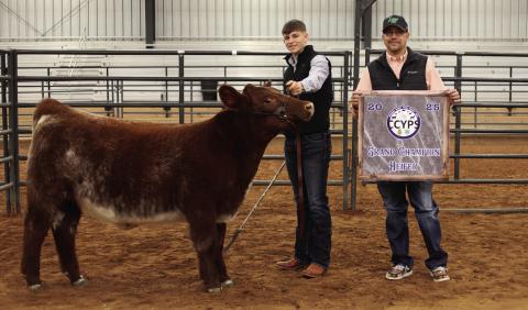 Drake Rabe exhibits the Grand Champion Heifer, purchased by Wellington State Bank, as well as the Reserve Grand Champion Heifer, purchased by First United Bank. Lane Photography