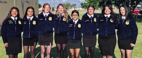 Vela, Moreno and Page advance to area FFA