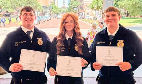 Wellington FFA accepts state distinctions