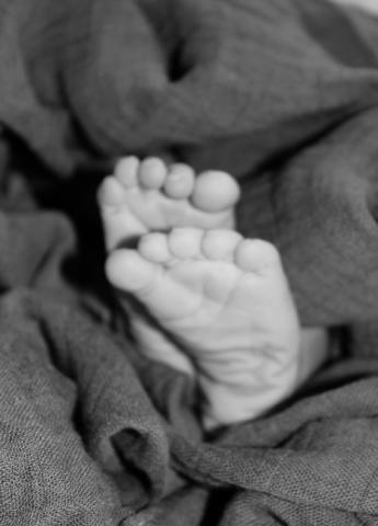 Kade Everett Brown