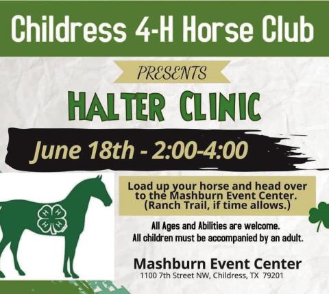 Childress 4-H Horse Club to present Halter Clinic