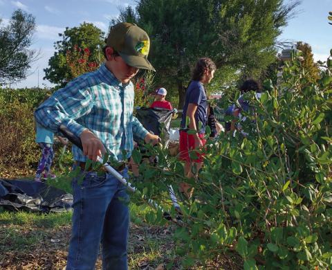 Childress County 4-H joins forces to celebrate National 4-H Week