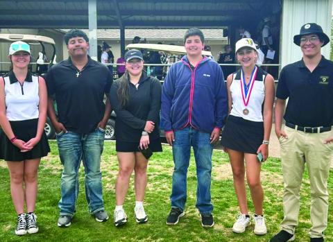 Memphis’ Ollinger qualifies for regionals