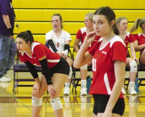 Lady Cats compete in