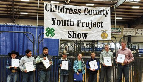 2023 Childress County Youth Project Show