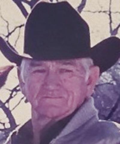 DALTON WEBSTER