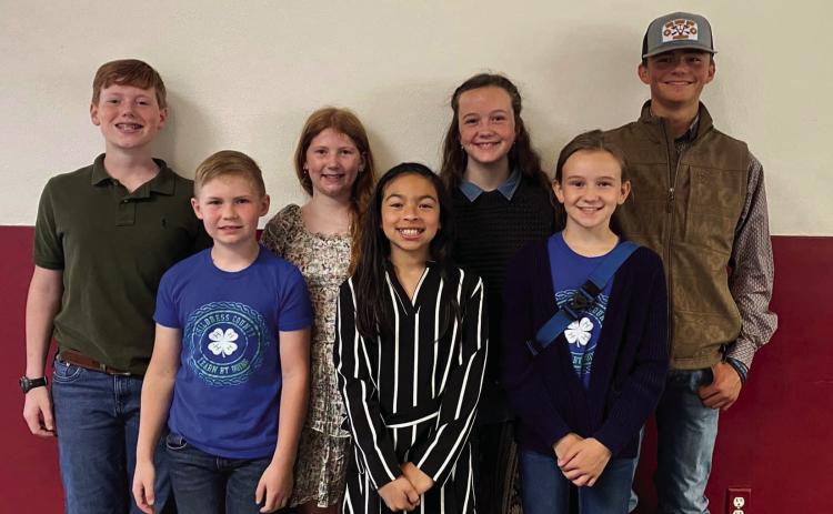 Childress County 4-Hers compete in District Round-Up, Consumer Decision Making