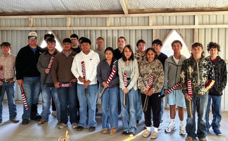 FCCLA, FFA members honor veterans