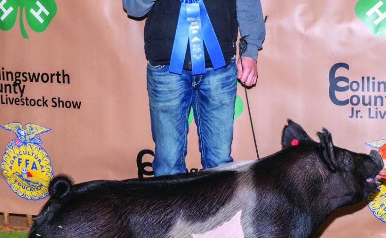 Easton Wischkaemper exhibits the Breed Champion Hampshire Swine, purchased by Wellington State Bank at the evening Premium Sale, during the Saturday, Jan. 18 Collingsworth County Livestock Show. Photos Courtesy of Collingsworth County Livestock Show