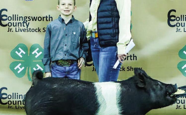 Collingsworth 4-H, FFA youth experience Premium Sale