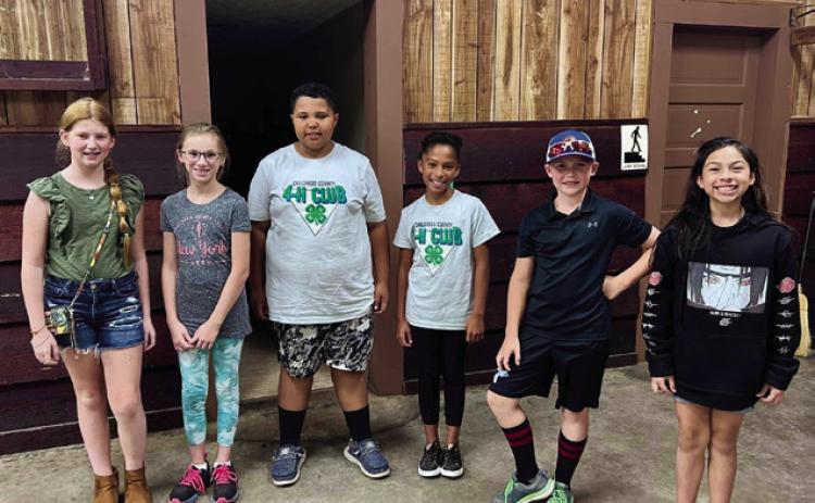 Childress County 4-H elects new officers, announces poster contest winners