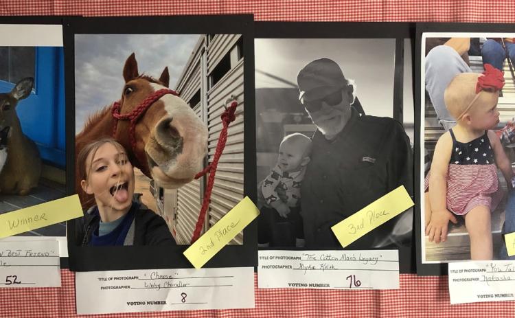 Photography winners named