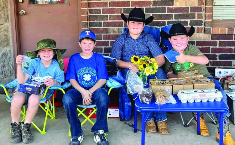 Childress Farmers Market welcomes 17-plus vendors