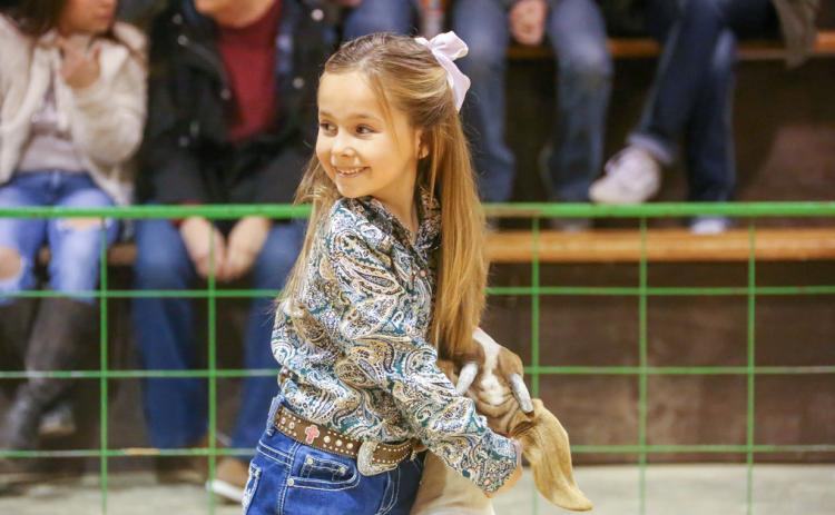 Hall County Jr. Livestock Show exhibitors takes the ring