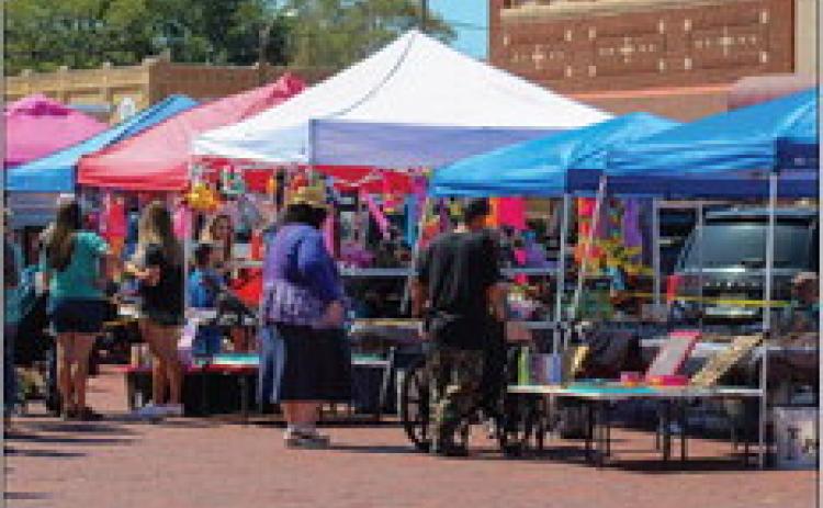 88th Annual Hall County Picnic this weekend