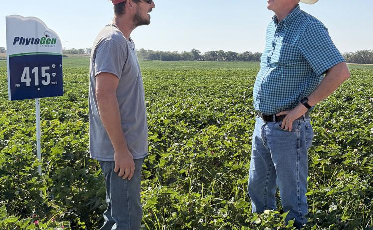 Collingsworth County producer Sonny Cox, left, converses with AgriLife Extension Weed Specialist Peter Dotray amongst the blooming cotton trial plots on the western edge of Rex Henard’s water-saving pivot irrigation system during the Sept. 4 crops tour. INTREPID PHOTO / BEV ODOM
