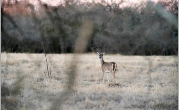 Ensuring a safe and memorable hunting season