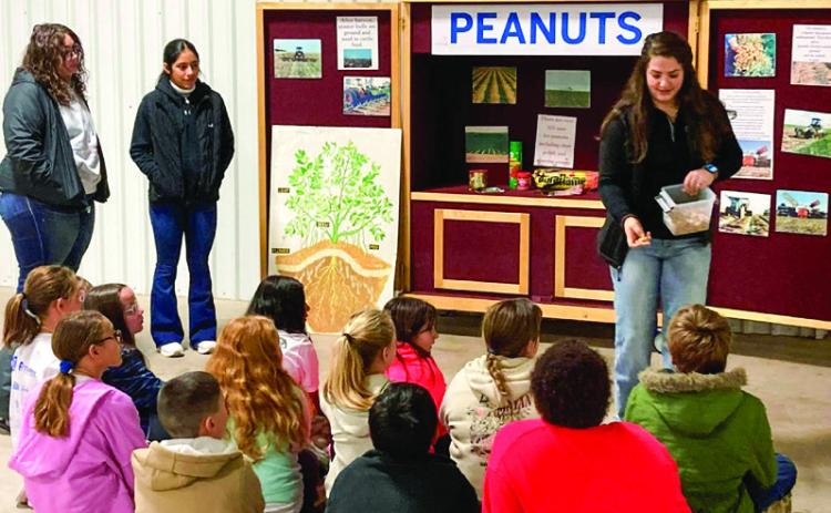 Memphis FFA members attend Ag Day
