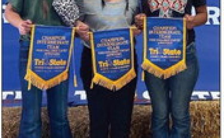 The Collingsworth County 4-H team of Brylnn Kemp, left, Ava Peters and Hazel Estada garner first place in the Intermediate Appetizer category at the Tri-State Fair Food Challenge on Sept. 18 in Amarillo. “These kids did awesome, and we are so proud of them!” said Program Assistant Paige Owen.