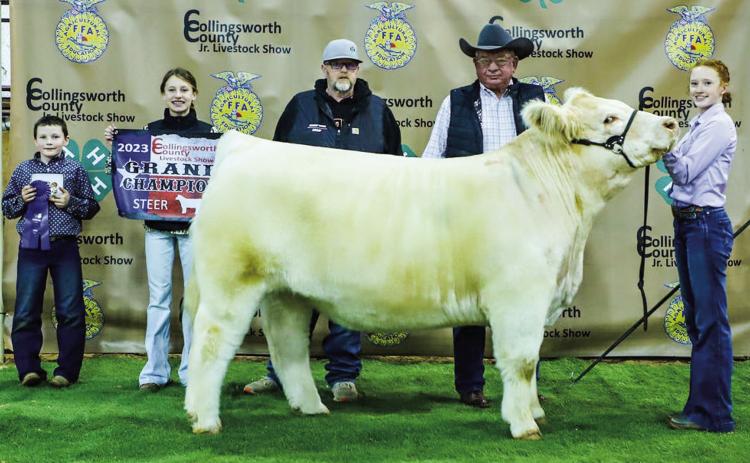Collingsworth County youth reap rewards at 2023 livestock show