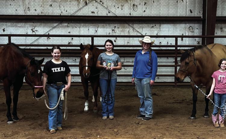 Youth partake in equine venture