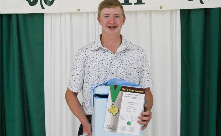 Sterling Bruce receives the Gold Star Award — the highest achievement award a Texas 4-H member can receive — at the 2025 Childress County 4-H Year End Banquet Monday, Aug. 25 at Fair Park City Auditorium. The Red River Sun/ElizabethTanner