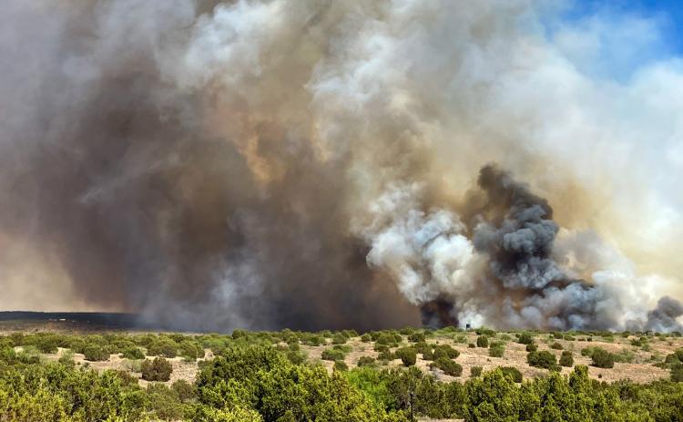The Lefty Fire, which was initiated by a lightning strike, burns 1,382 acres Thursday, April 2-Friday, April 3 in Hall County. Hedley Volunteer Fire Deparrtment