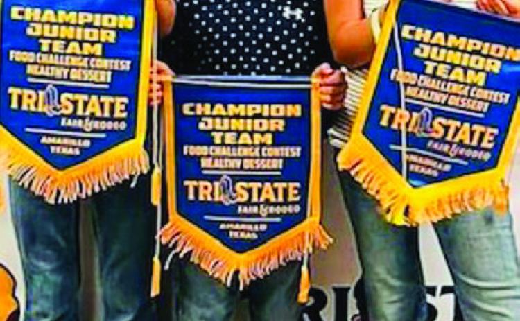 Collingsworth County 4-H places atTri-State Fair Food Challenge