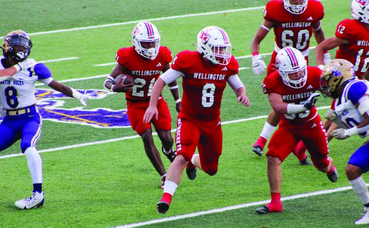 Wellington nabs season-opening win over Alpine
