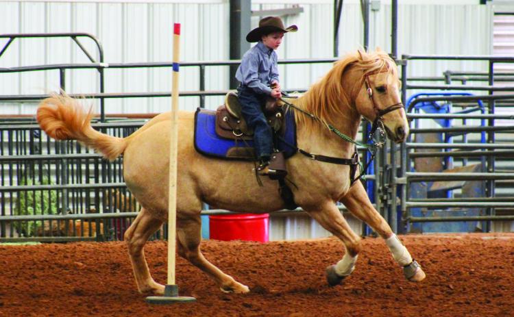 Wild Card Youth Rodeo in action
