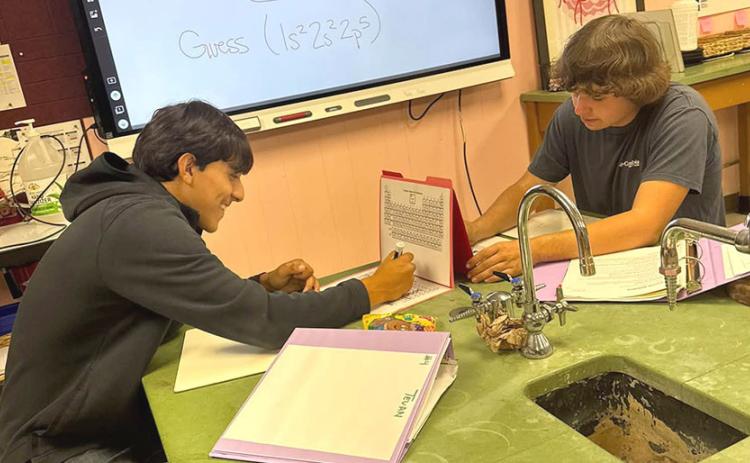 Students in Mrs. Alexander’s chemistry class play a competitive game of Periodic Table Battleship on Wednesday. MEMPHIS ISD