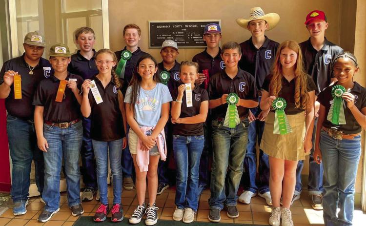 Childress County 4-Hers compete at District 3 Roundup, Livestock Quiz Bowl