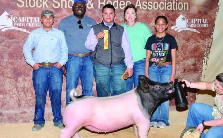 Childress’ Blaze Session recently competes at the San Angelo Stock Show and Rodeo, earning fifth place in his class with his dark crossbred. Courtesy Photos