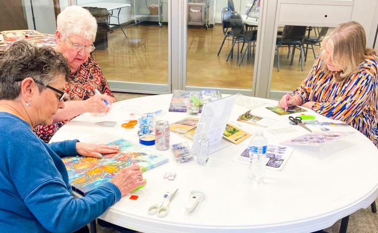 Offered at 1 p.m. on Thursday afternoons through the month of February, Saunna Blacksher leads participants in diamond art at the Wellington Senior Citizens Center (WSCC). WSCC currently offers exercise and wellness classes, monthly socials and birthday lunch celebrations, day trips and game room activities. Special interest groups and individuals meet for bridge, dominoes and other games from 1-5 p.m. Monday-Friday. Wellington Senior Citizens Center