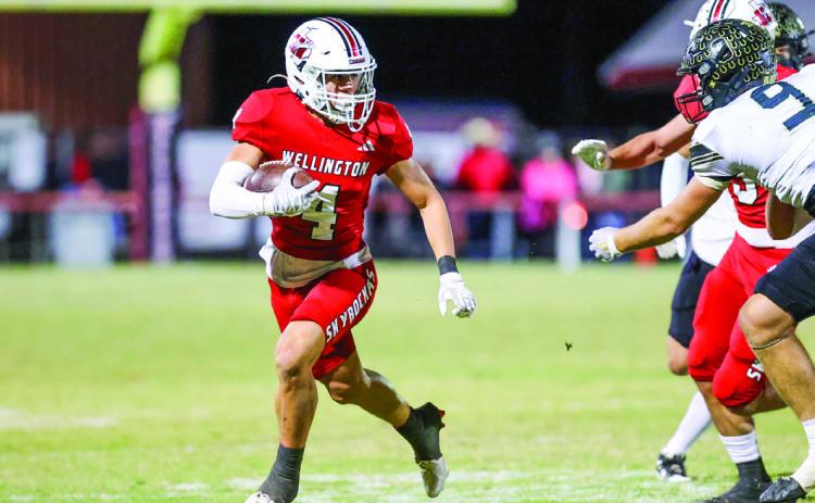 Wellington clinches District 5-2A Division II title