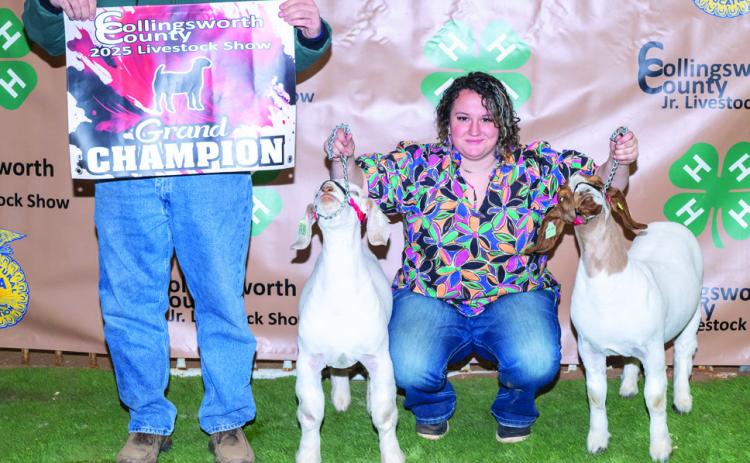 During the Saturday, Jan. 18 Collingsworth County Livestock Show festivities, Wellington High School junior Brecklyn Powell garners not only the Grand Champion Goat, Sr. Goat Showmanship and Sr. Lamb Showmanship honors, but the Herdsman Award as well, in memory of the late Don Reeves. Brecklyn’s dad, Jeff Powell, displays the Grand Champion Goat banner. See additional photos, page 4B. Photo Courtesy of Collingsworth County Livestock Show