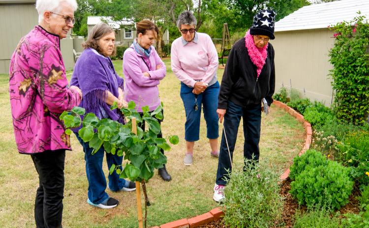 Despite the windy, chilly weather, members of Delta Kappa Gamma met for their monthly program Tuesday, May 19, taking a tour of Edith Johnson’s butterfly garden, certified by the North American Butterfly Association. The garden visit was a follow-up to an earlier program given to the group by Johnson, who is coined the “Butterfly Lady.” GRACE HOLMAN