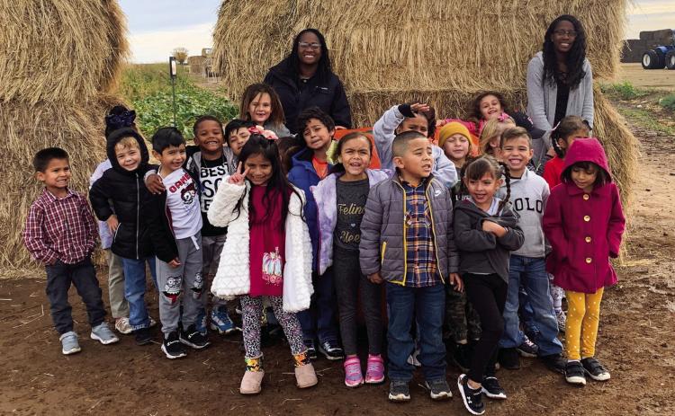 Kindergarten takes on Amarillo
