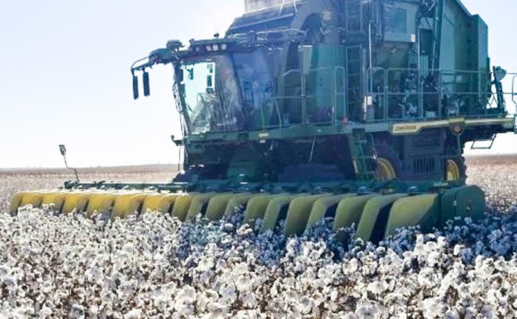 With a John Deere 770 cotton stripper, Collingsworth County producer Rusty Strickland harvests his 2025 irrigated crop in the Marilla community, north of Quail. Cotton harvest for Strickland Farms be-See gan in early November and finished the middle of December. Strickland Farms