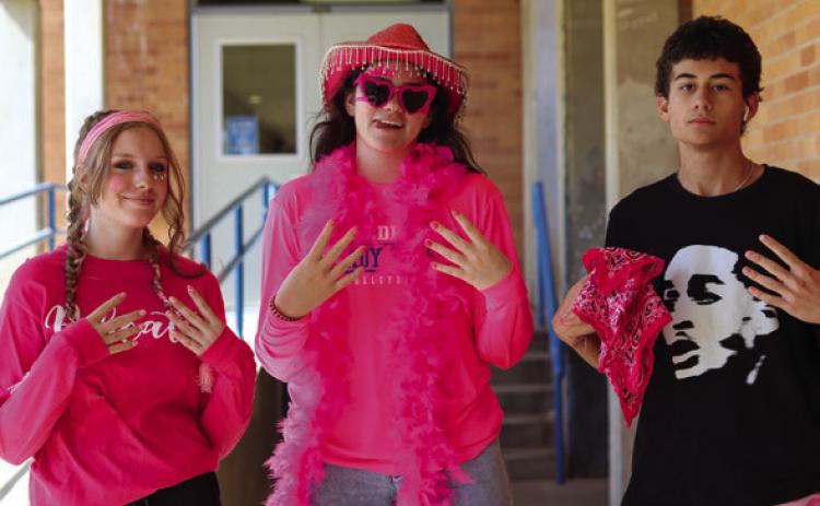 Bobcats ‘pink out’ breast cancer