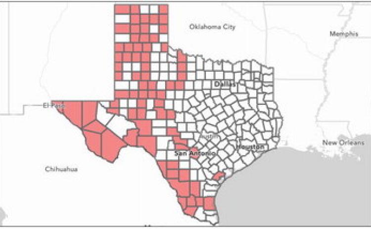 Childress County is currently in a burn ban, prohibiting all outdoor burning. Graphic by Texas A&amp;M Forest Service