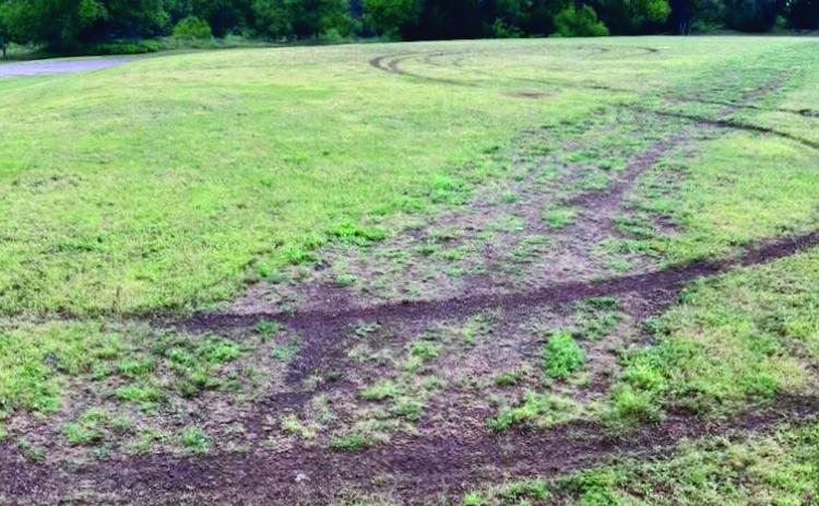 Tire marks are left in the Memphis City Park grass. Courtesy Photo