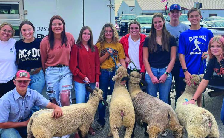 Practice makes perfect! Prior to a successful Livestock Judging Contest in Amarillo Friday, Sept. 23, Childress FFA meets for livestock judging practice Thursday, Sept. 15. For Tri-County State Fair and Rodeo Livestock Judging results, see 10A. Photo Courtesy of Childress FFA