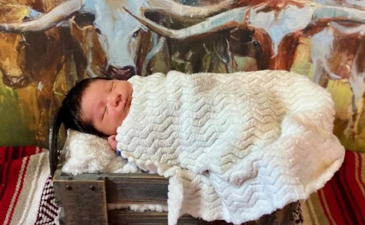 Birth Announcement